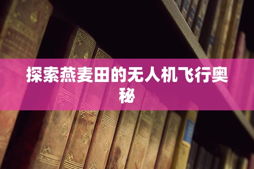 探索燕麦田的无人机飞行奥秘