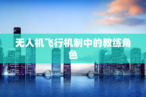 无人机飞行机制中的教练角色