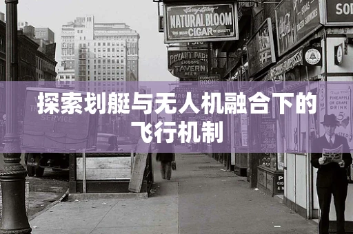 探索划艇与无人机融合下的飞行机制