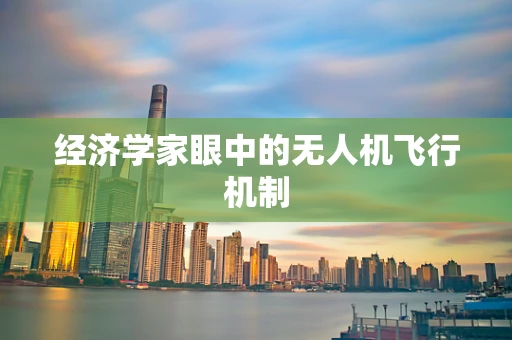 经济学家眼中的无人机飞行机制