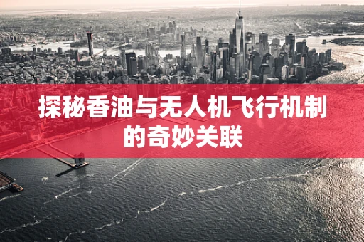 探秘香油与无人机飞行机制的奇妙关联