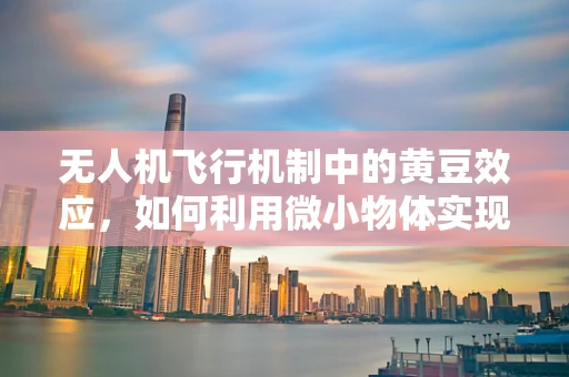 无人机飞行机制中的黄豆效应，如何利用微小物体实现精准定位？