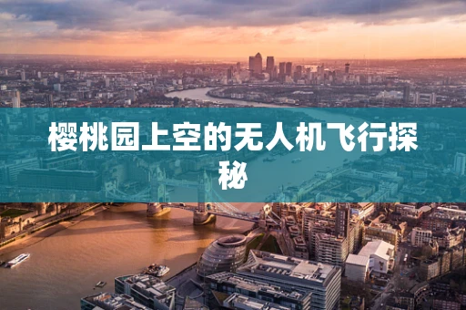 樱桃园上空的无人机飞行探秘