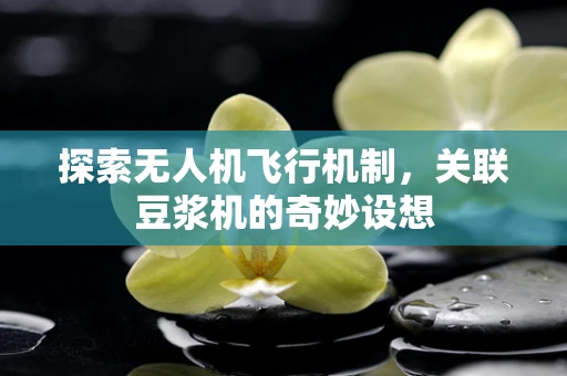 探索无人机飞行机制，关联豆浆机的奇妙设想