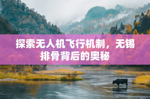探索无人机飞行机制，无锡排骨背后的奥秘