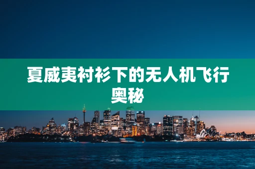 夏威夷衬衫下的无人机飞行奥秘