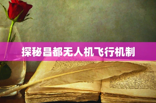 探秘昌都无人机飞行机制