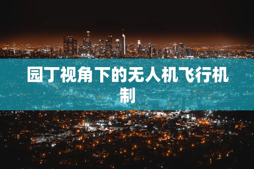 园丁视角下的无人机飞行机制