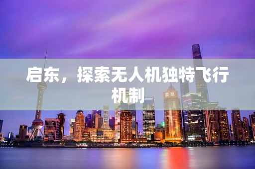 启东，探索无人机独特飞行机制