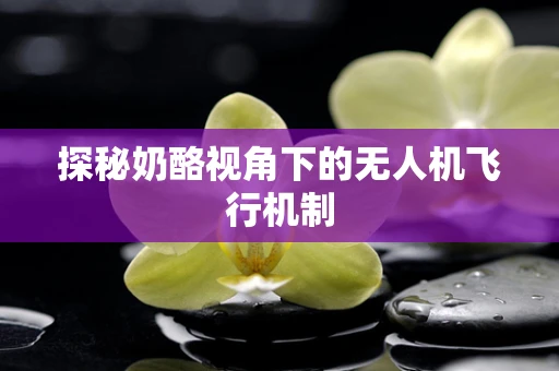 探秘奶酪视角下的无人机飞行机制