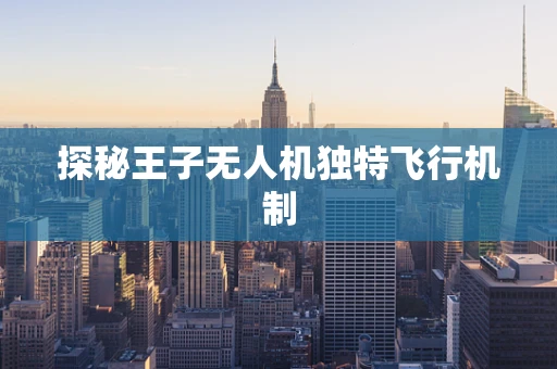 探秘王子无人机独特飞行机制