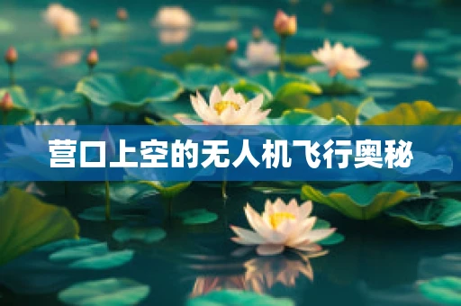 营口上空的无人机飞行奥秘