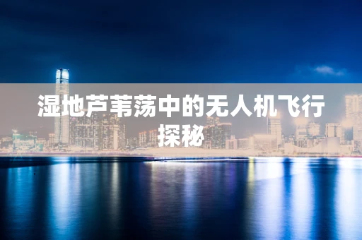 湿地芦苇荡中的无人机飞行探秘