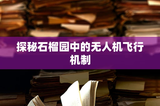 探秘石榴园中的无人机飞行机制