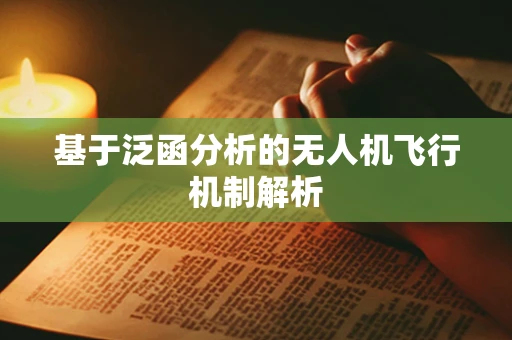 基于泛函分析的无人机飞行机制解析