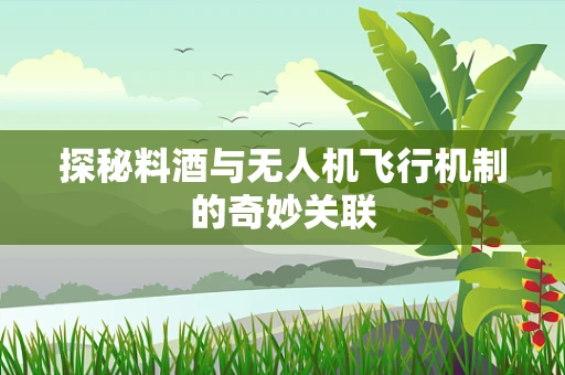 探秘料酒与无人机飞行机制的奇妙关联