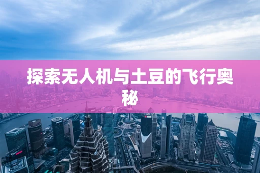 探索无人机与土豆的飞行奥秘