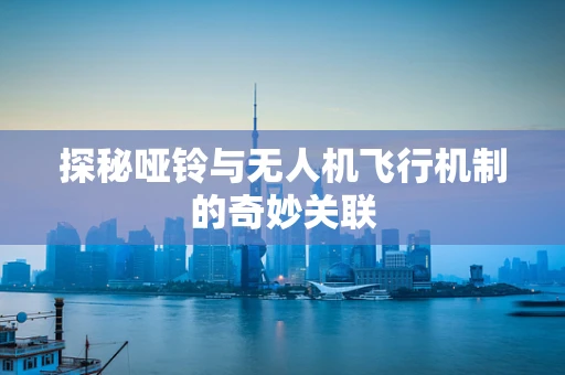 探秘哑铃与无人机飞行机制的奇妙关联