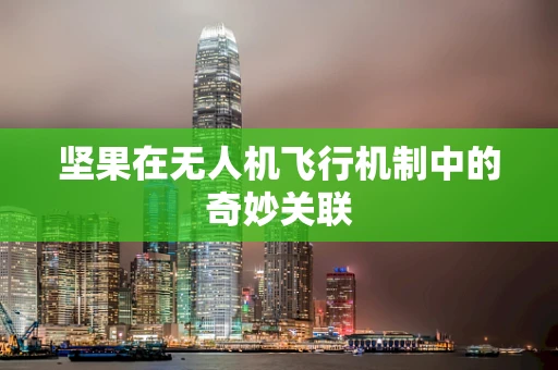 坚果在无人机飞行机制中的奇妙关联