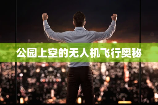 公园上空的无人机飞行奥秘