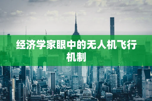 经济学家眼中的无人机飞行机制