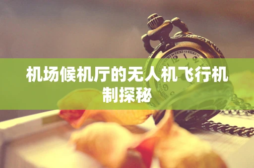 机场候机厅的无人机飞行机制探秘