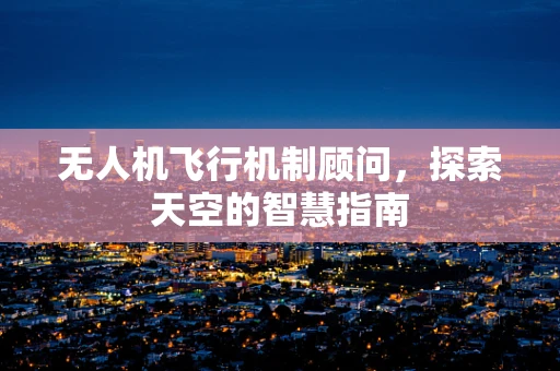 无人机飞行机制顾问，探索天空的智慧指南