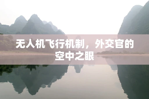 无人机飞行机制，外交官的空中之眼
