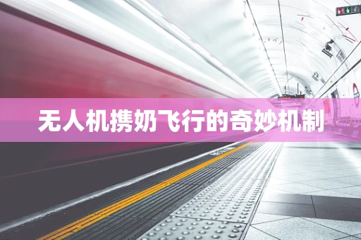无人机携奶飞行的奇妙机制