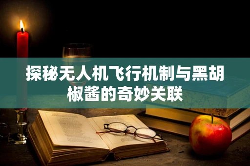 探秘无人机飞行机制与黑胡椒酱的奇妙关联
