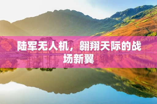 陆军无人机，翱翔天际的战场新翼