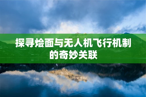 探寻烩面与无人机飞行机制的奇妙关联