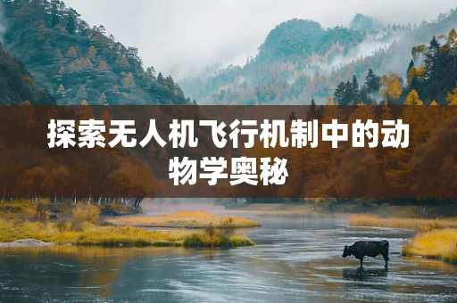探索无人机飞行机制中的动物学奥秘