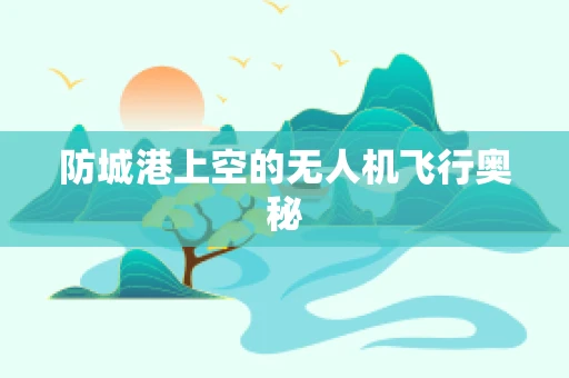 防城港上空的无人机飞行奥秘