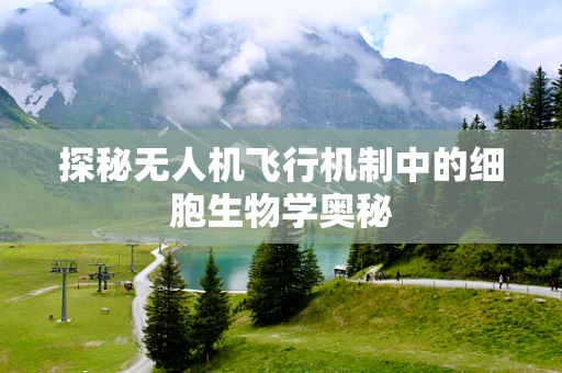 探秘无人机飞行机制中的细胞生物学奥秘