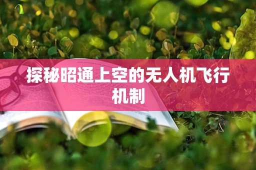 探秘昭通上空的无人机飞行机制