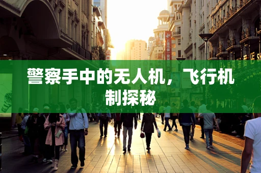 警察手中的无人机，飞行机制探秘