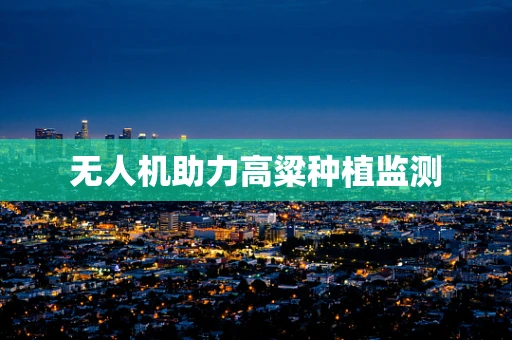 无人机助力高粱种植监测