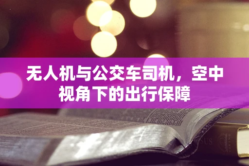 无人机与公交车司机，空中视角下的出行保障