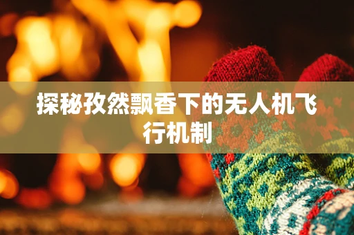 探秘孜然飘香下的无人机飞行机制