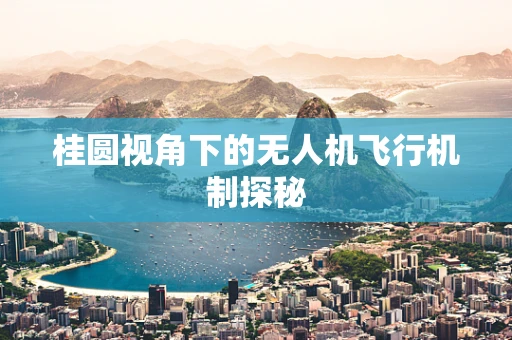 桂圆视角下的无人机飞行机制探秘