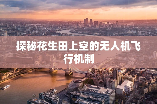 探秘花生田上空的无人机飞行机制