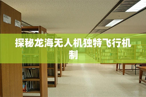 探秘龙海无人机独特飞行机制