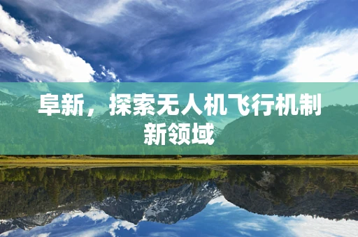 阜新，探索无人机飞行机制新领域