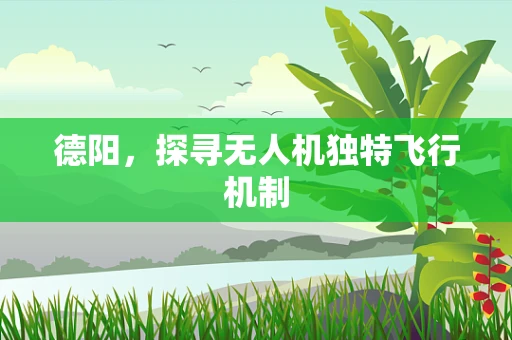德阳，探寻无人机独特飞行机制