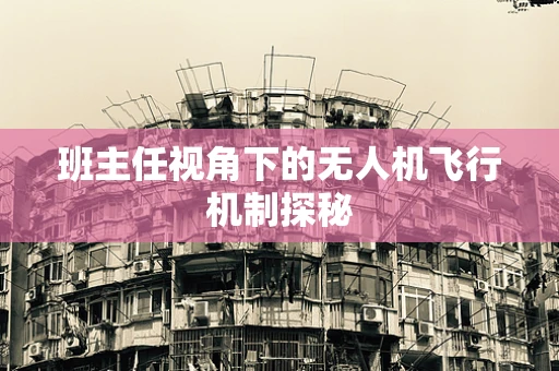 班主任视角下的无人机飞行机制探秘