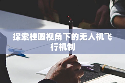 探索桂圆视角下的无人机飞行机制