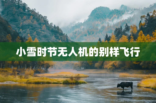 小雪时节无人机的别样飞行