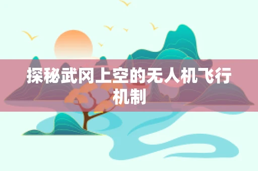 探秘武冈上空的无人机飞行机制