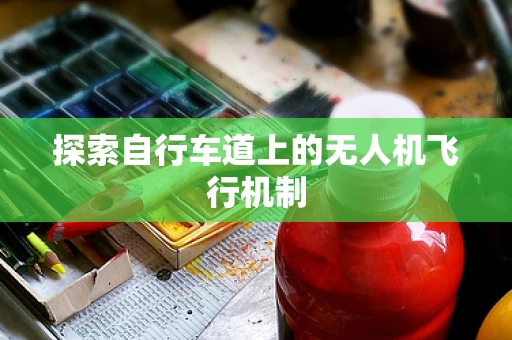 探索自行车道上的无人机飞行机制
